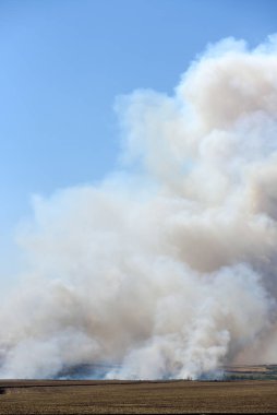 Ormanda ve tarlada büyük bir yangın, gökyüzünde yoğun bir duman