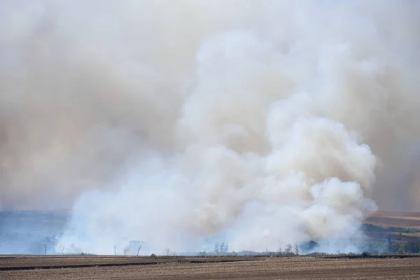 Grande incendio nella foresta e nel campo, fumo denso in alto nel cielo — Foto Stock