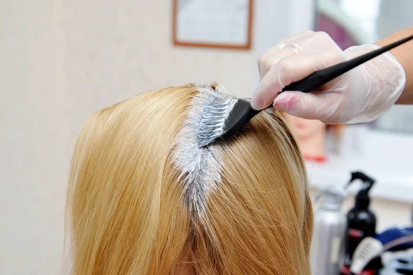 De kapper gebruikt een borstel om de kleurstof aan te brengen op het haar, voor d — Stockfoto