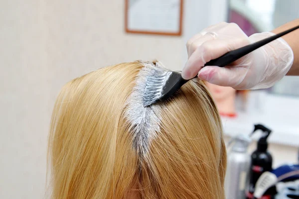 The hairdresser uses a brush to apply the dye to the hair, for d