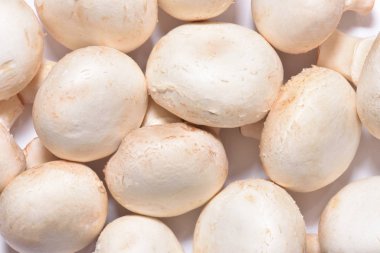 Beyaz arka planda büyük ve güzel şampiyonlar. Bir grup mantar.