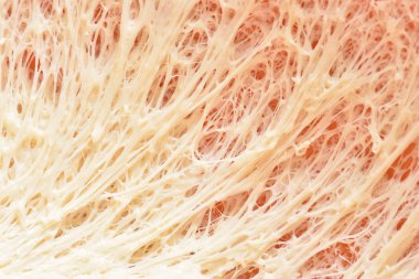 Çirkin hamur, pis hamur yapısı, balçık gibi. Yakın plan.