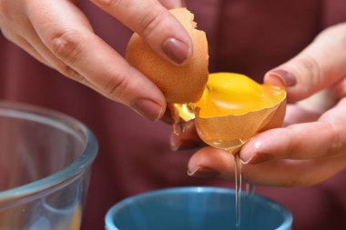 Ellerinde kırık bir yumurta, yumurta sarısının ayrılması ve pişirmek için protein..