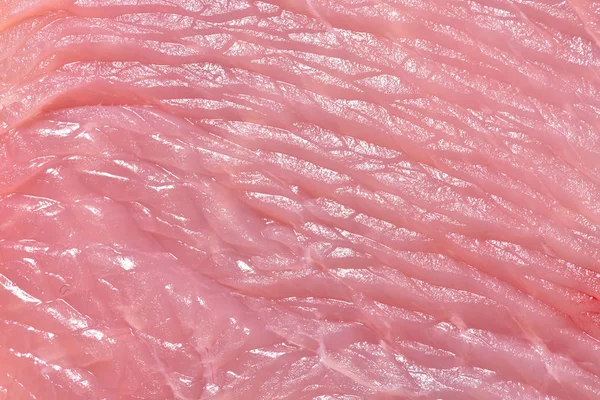 Schöne und frische Putenfilet. Textur des Fleisches vom Putenfilet — Stockfoto