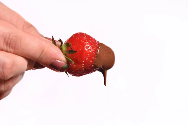 Main féminine tenant des fraises trempées au chocolat sur le fond blanc. Chocolat fondu et fraise — Photo