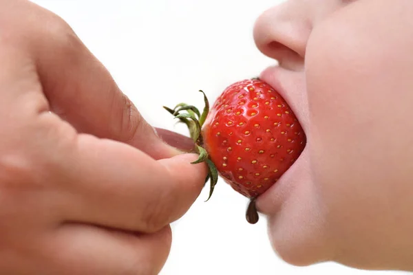 Mom feeds the child with strawberries with melted chocolate. Close-up