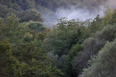 Gelendzhik kenti yakınlarındaki dağlık bir bölgede sık bir ormanın üzerindeki yangından çıkan duman