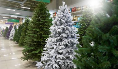 Dekor mağazasında yeşil, mor ve beyaz bir sürü yapay Noel ağacı satılıyor.