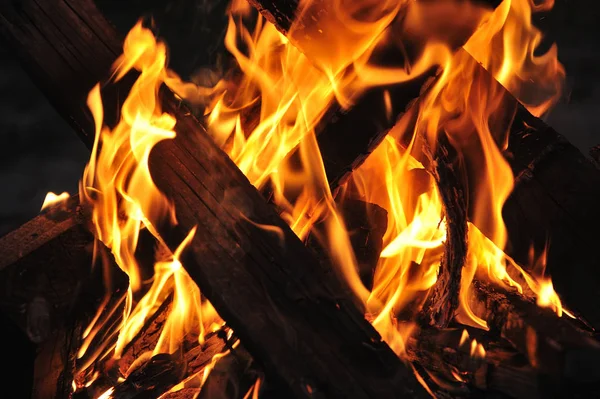 Beautiful Flame Burning Fire Wood Black Background — Stock Photo, Image