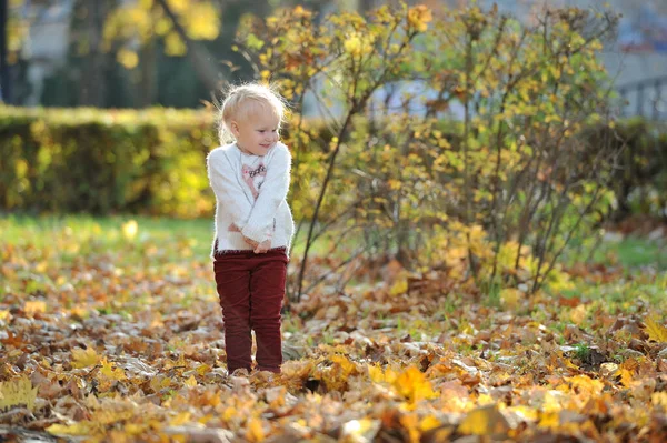 Liten Blond Flicka Barn Hösten Park Bakgrund När Går — Stockfoto