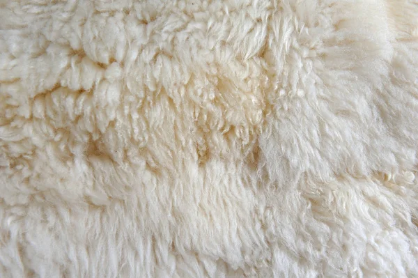 Textur Aus Weißer Wolle Natürlich Hintergrund — Stockfoto