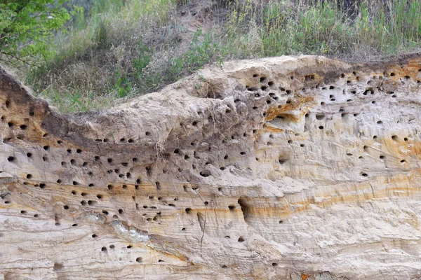 Paisaje Natural Nidos Golondrinas Cañón Forma Depresión Agujeros — Foto de Stock