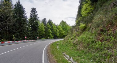 Almanya 'daki Schwarzwald ormanından geçen güzel asfalt yolu.