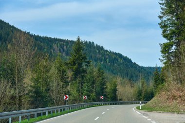 Ağaçlar arasında yol, güneşli bir gün ve Alman ormanında mavi gökyüzü olan güzel bahar manzarası Schwarzwald