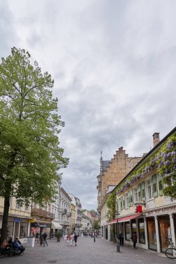 Baden Baden, Almanya - 24 Nisan 2019: Avrupa 'da Wisteria duvarı olan güzel Lange sokağı ve evi. Langestrasse, Baden Baden