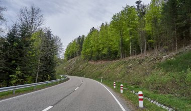 Almanya 'daki Schwarzwald ormanından geçen güzel asfalt yolu.