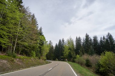 Almanya 'daki Schwarzwald' ın kozalaklı ormanlarından geçen güzel asfalt yolu.
