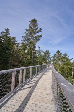 Ormanda yüksek irtifada bir köprü şeklinde ahşap ve metal örgüden yapılmış dar yaya geçidi. Avrupa ormanlarında tahta köprü