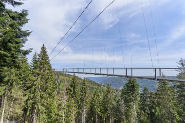 Almanya 'da kozalaklı bir ormanın üzerinde asılı demir köprüsü olan güzel bir manzara.