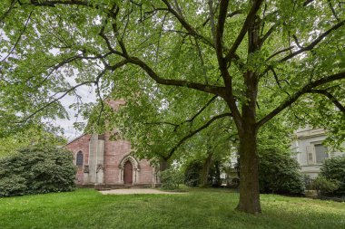 Avrupa 'nın Baden şehrindeki Evanjelik Kilisenin yanındaki güzel çiçek açan ağaç.