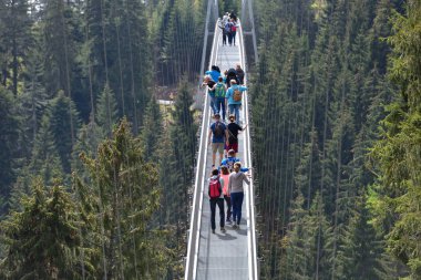 Bad Wildbad, Almanya - 22 Nisan 2019: Turistler kozalaklı Avrupa ormanlarındaki yayalar için uzun ve askıya alınmış bir demir kablo köprüsü boyunca yürüyorlar..