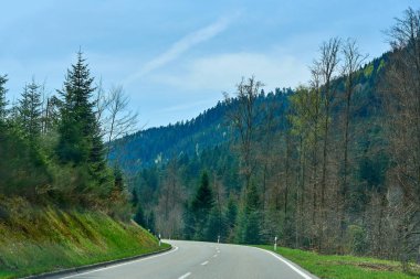 Ağaçlar arasında yol, güneşli bir gün ve Alman ormanında mavi gökyüzü olan güzel bahar manzarası Schwarzwald