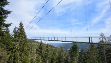 Almanya 'da kozalaklı bir ormanın üzerinde asılı demir köprüsü olan güzel bir manzara.