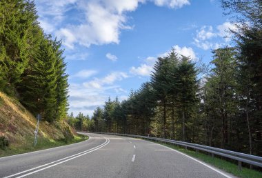Ağaçlar arasında yol, güneşli bir gün ve Alman ormanında mavi gökyüzü olan güzel bahar manzarası Schwarzwald