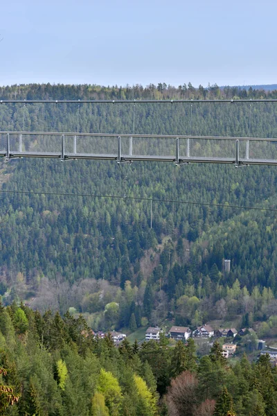 Beau Paysage Avec Pont Suspendu Fer Sur Une Forêt Conifères — Photo