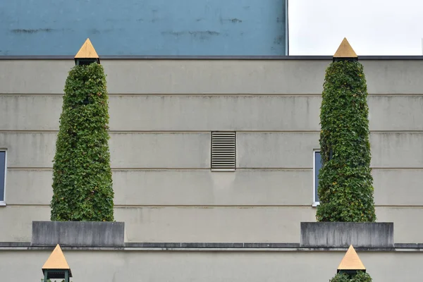 Planta Soplado Techo Edificio Una Ciudad Europea Alemania — Foto de Stock