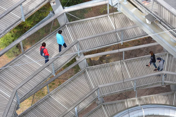 Bad Wildbad April 2019 Auf Dem Baumwipfelpfad Einem Turm Mit — Stockfoto