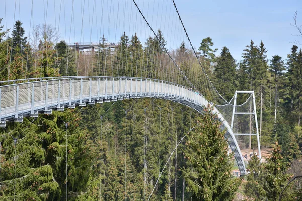 Long and narrow suspension iron bridge for pedestrian tourists in the coniferous European forest.