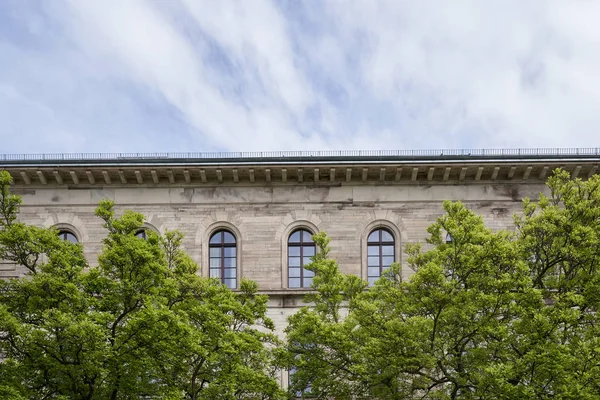 Prachtige Boomtoppen Het Voorjaar Tegen Achtergrond Van Een Oud Gebouw — Stockfoto