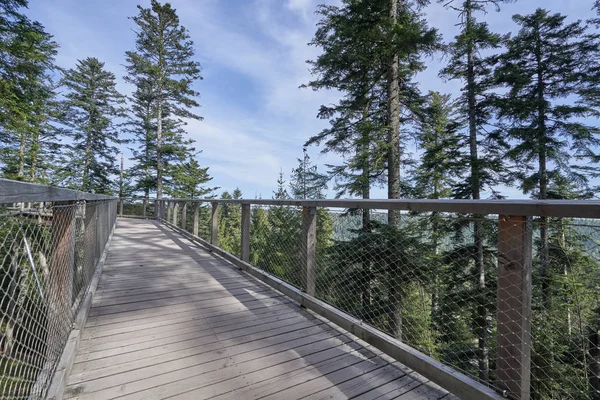 Narrow pedestrian walkway made of wood and metal mesh in the form of a bridge in the forest at high altitude. Wooden bridge in European forest