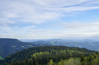 Almanya 'nın Schwarzwald kentindeki Avrupa ormanlarındaki kozalaklı orman ve tepelerle dolu resimli bir manzara. Ekoloji, turizm kavramı