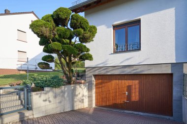 Güzel kıvrımlı büyük Bonsai ağacı, garaj kapısı olan modern bir evin arka planında.
