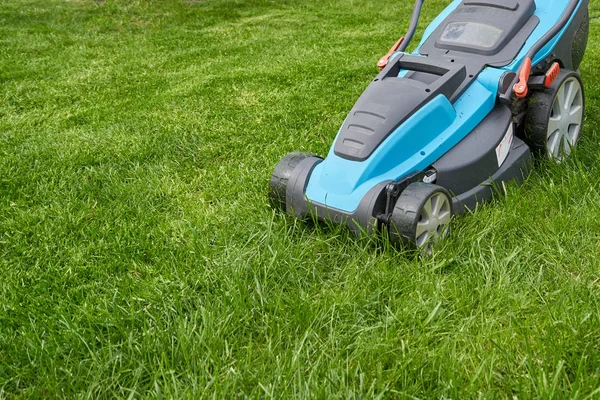 Elektromos Fűnyíró Nyír Egy Világos Zöld Benőtt Pázsit Közelkép — Stock Fotó