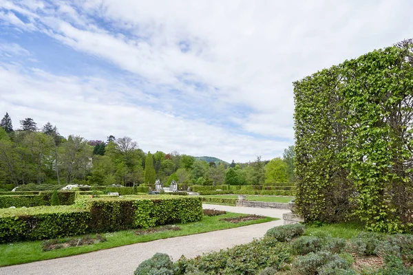 Arbusto Seto Recortado Parque Público Europeo Baden Baden Primavera —  Fotos de Stock