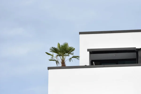 Balkon Dan Dek Observasi Dengan Pohon Palem Gedung Apartemen Modern — Stok Foto