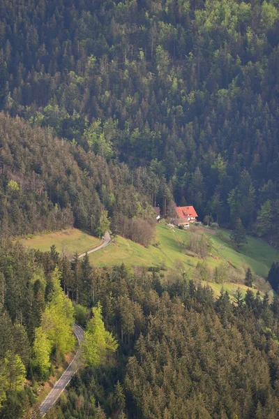 Paesaggio Pittoresco Una Casa Campagna Isolata Europea Una Foresta Schwarzwald — Foto Stock