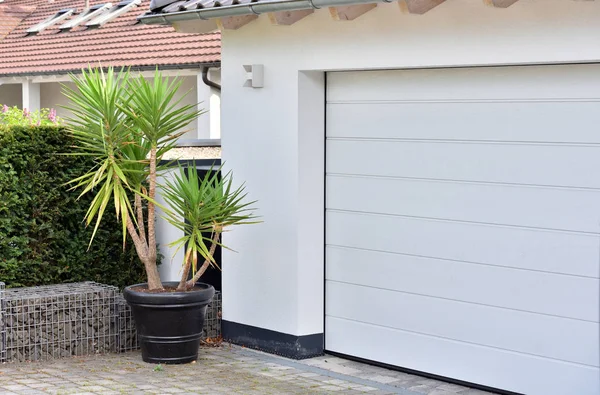 Large Yucca Plant Large Black Pot Stands Next White Garage — Stock Photo, Image