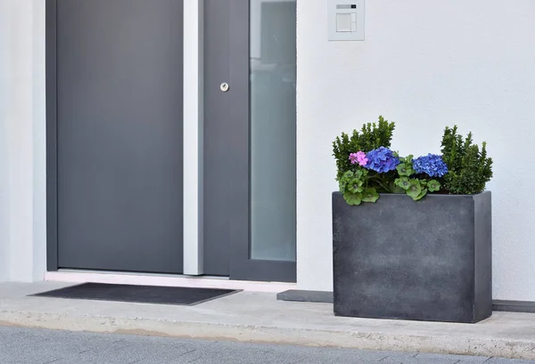 Un grande vaso grigio con un cespuglio verde e fiori di fronte all'ingresso della casa accanto alla porta grigio anteriore. — Foto Stock