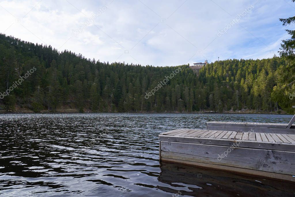 Mummelsee mountain lake in Schwarzwald and dense coniferous forest, Germany 