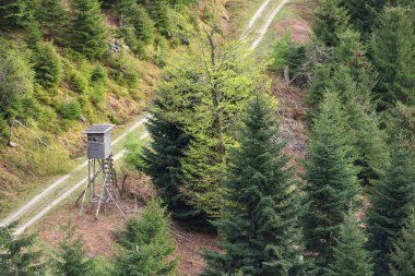 Kozalaklı orman, yol ve Almanya 'da Schwarzwald ormanındaki avcılar için küçük ahşap bir ev.