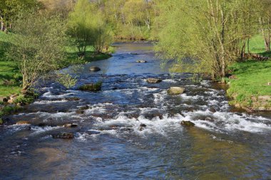 İlkbaharda su ve taşlarla dolu bir nehir, bir Avrupa şehrinde