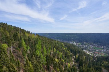 Almanya 'da Schwarzwald ormanında evleri olan bir dağ vadisinin arka planında karışık kozalaklı ve yaprak döken ormanlarla dolu Avrupa manzarası