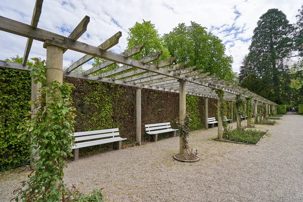 Hermosa Pérgola Larga Con Plantas Trepadoras Rosas Parque Público Europeo — Foto de Stock