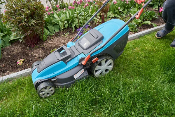 Elektrikli bir çim biçme makinesi çimlerin kenarını ve beton kaldırımı keser..