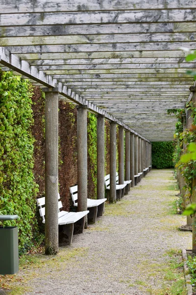 Hermosa Pérgola Larga Con Plantas Trepadoras Rosas Parque Público Europeo — Foto de Stock