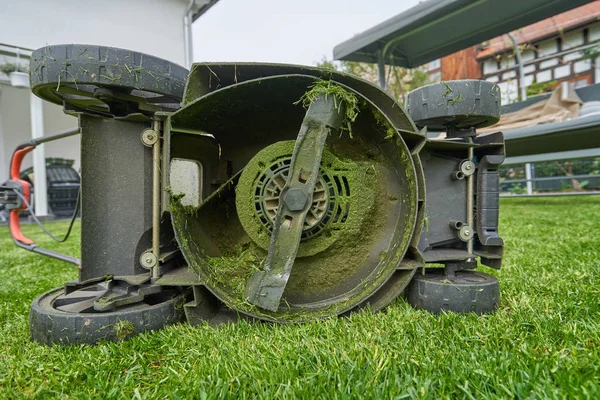 Elektrikli çim biçme makinesi çimleri biçtikten sonra hepsi yeşil çimlerde.